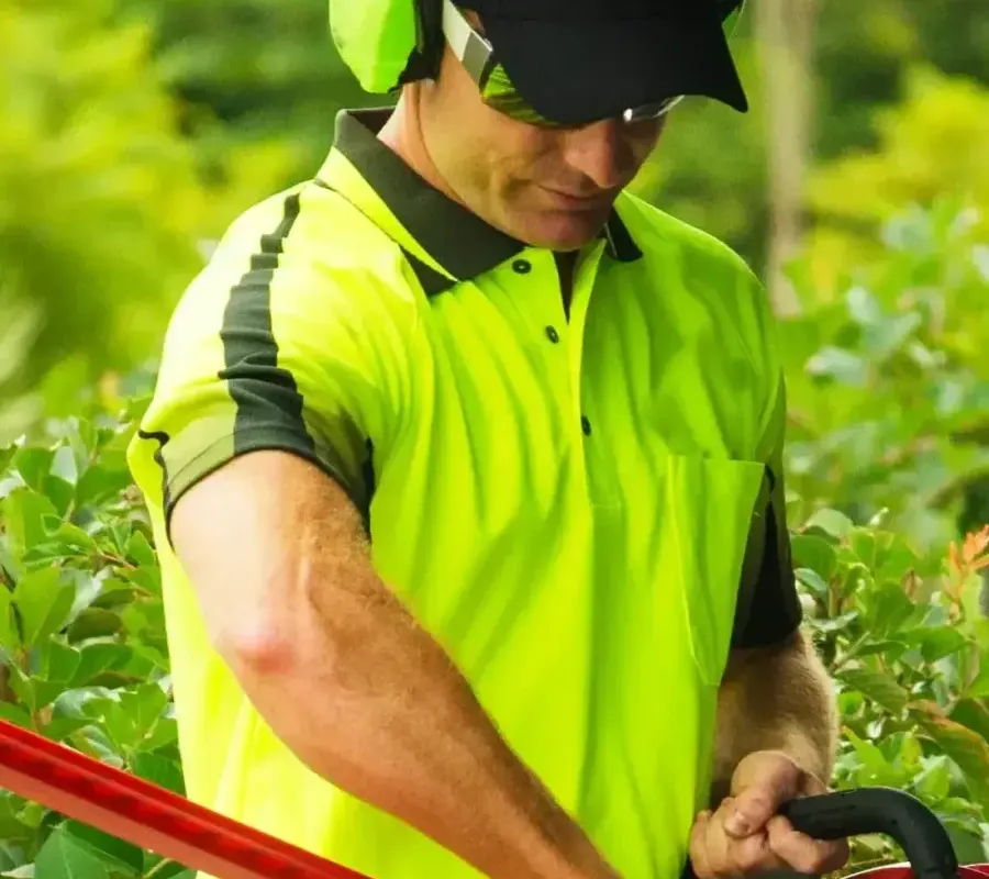 Lawn Mowing and Gardening South Brisbane featured image || "featured image"